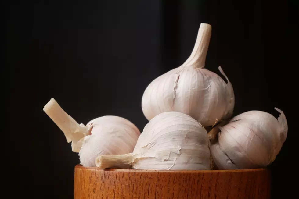 Who Knew Maine Had A Garlic Festival?
