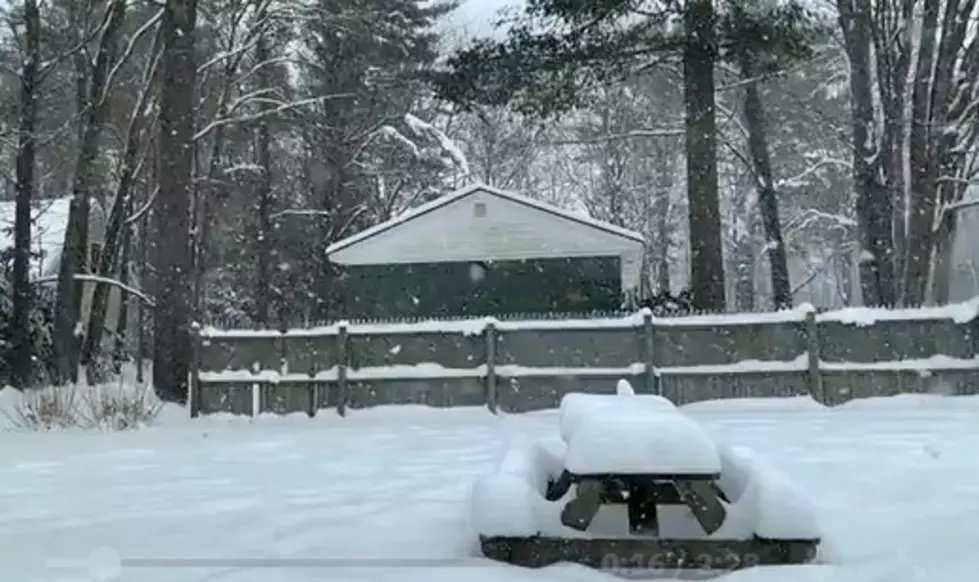 Mainers Share Their Blizzard Videos On Social Media