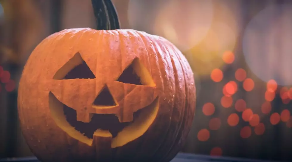 UCP’s 22nd Annual ‘Pumpkins In The Park’ Is Next Month