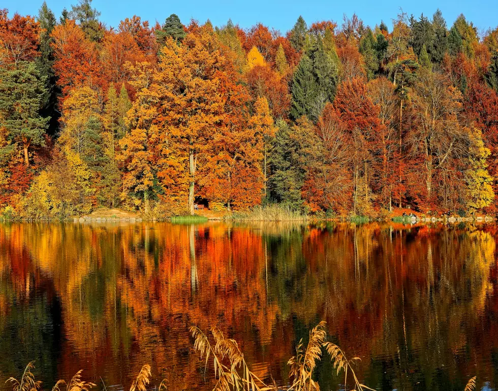 The Absolute Best Places In Maine To Enjoy Fall Foliage