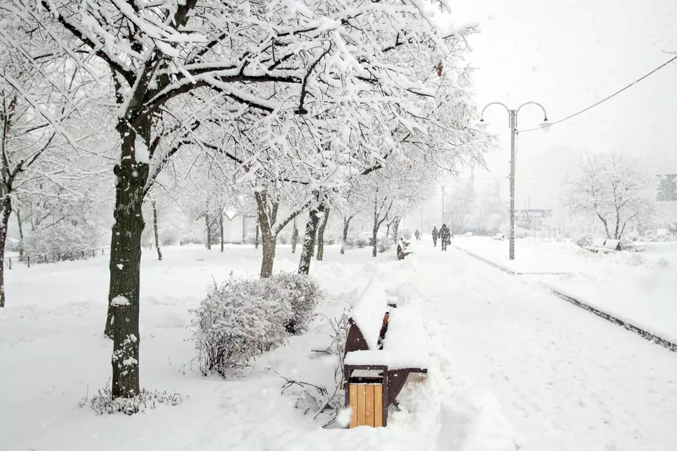 Mainers Reveal What They Are Looking Forward To When Winter Ends