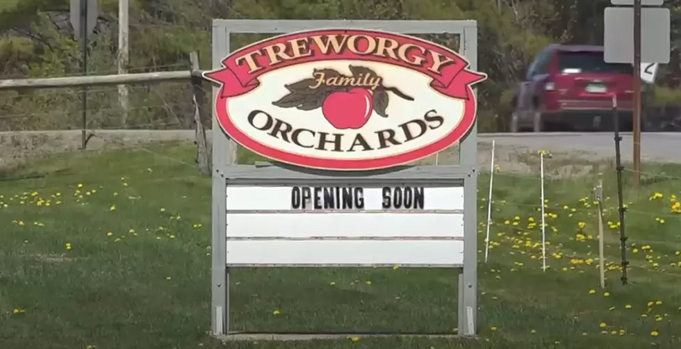 Maine’s Treworgy Family Orchard Opens For The Season Next Week