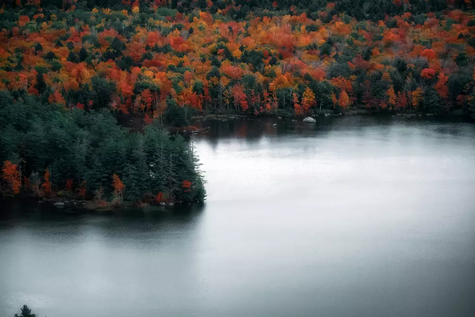 Maine Fall Foliage Map: Track Peak Color in Real Time
