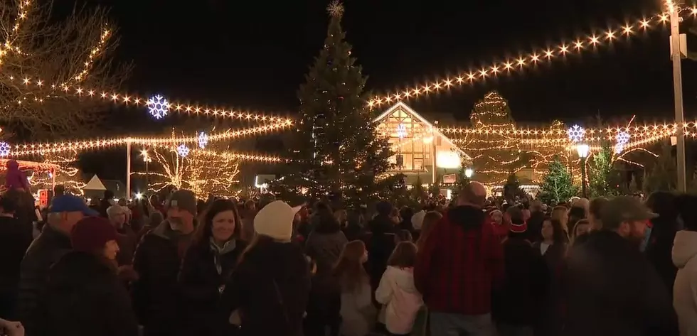 Final Days to Enjoy L.L.Bean’s “Northern Lights” Holiday Display