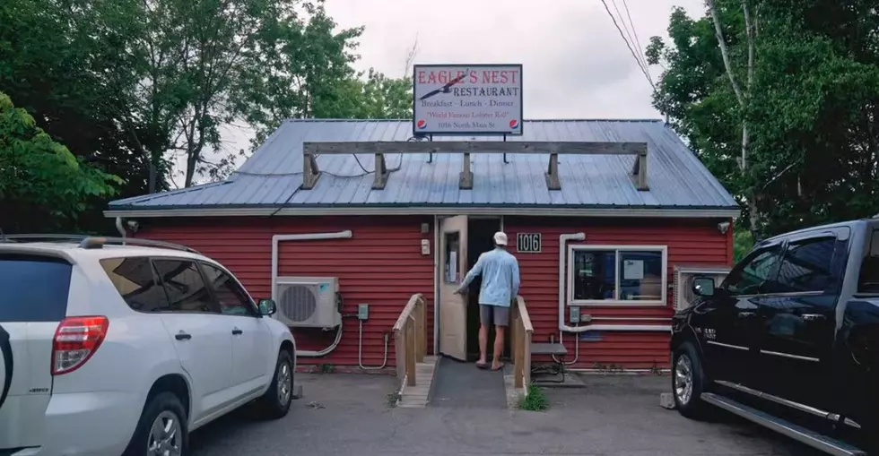 A Social Media Star’s Quest to Find Maine’s Best Lobster Roll