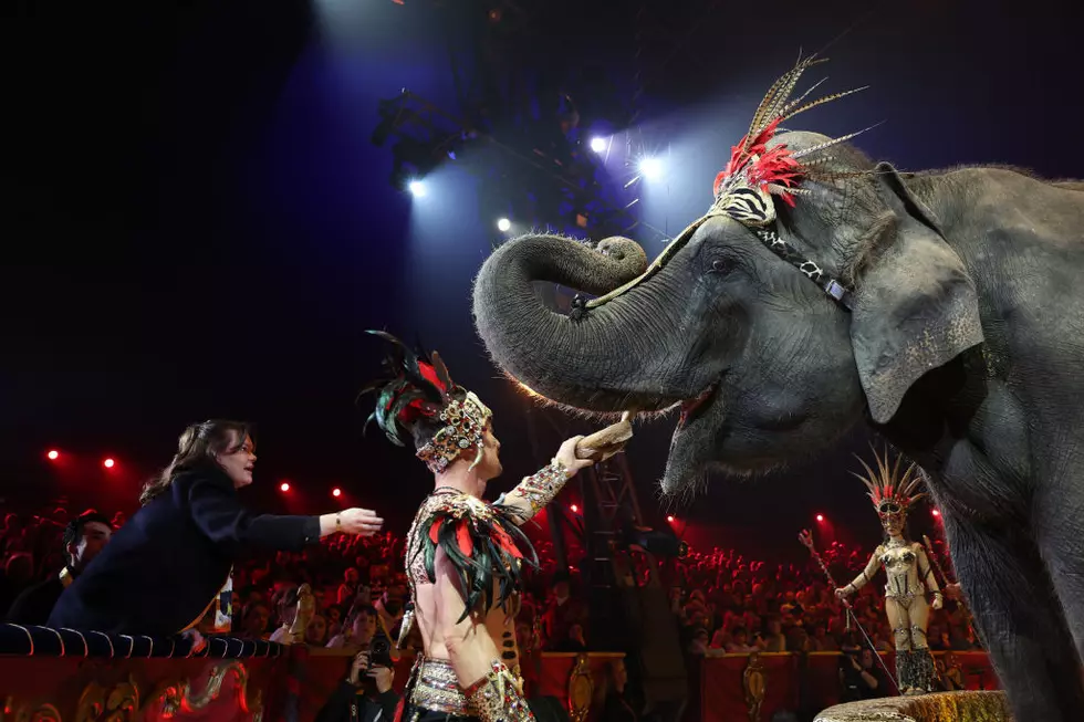 Anah Shrine Circus Returns to Bangor, Maine This April
