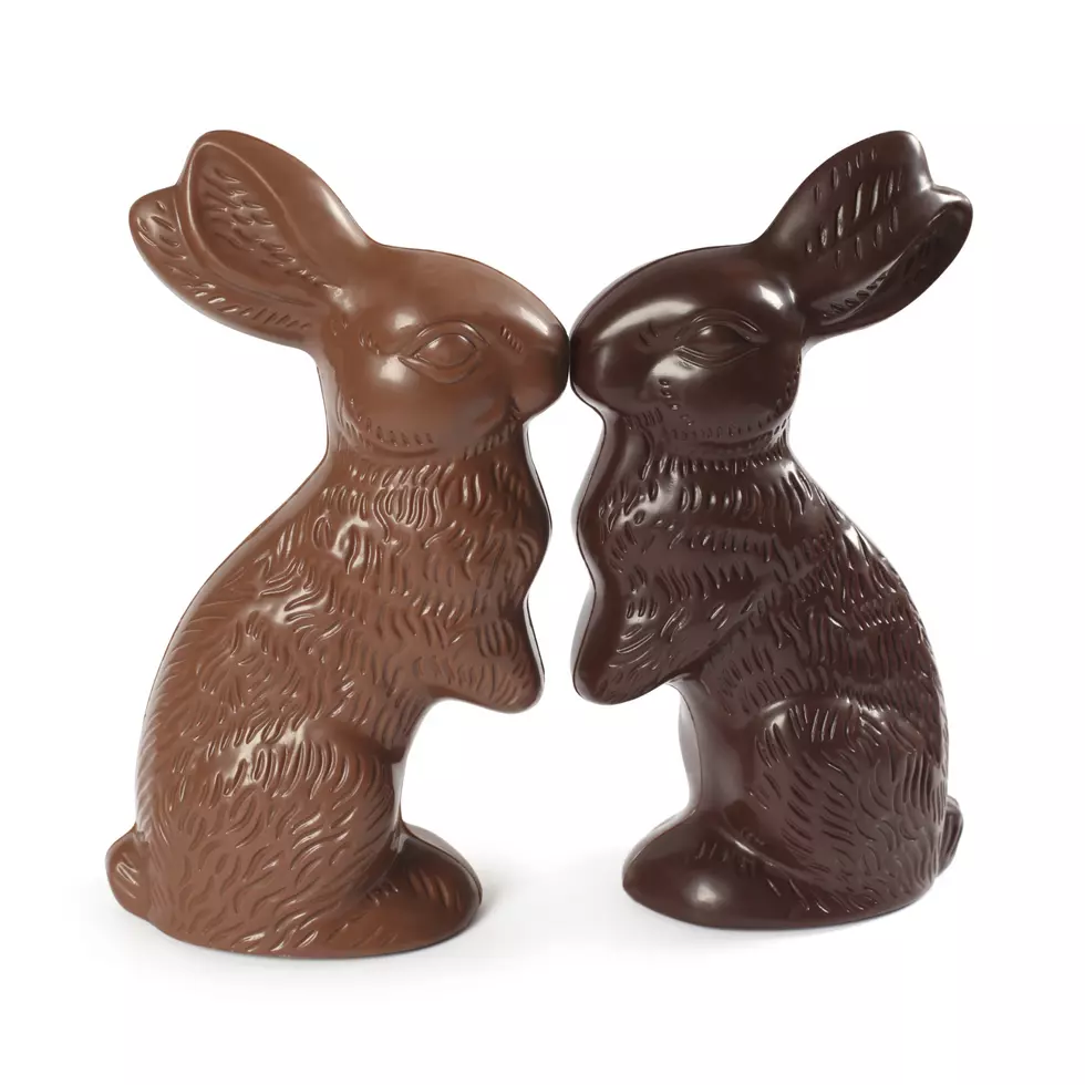 Eating a Chocolate Bunny (Poll)