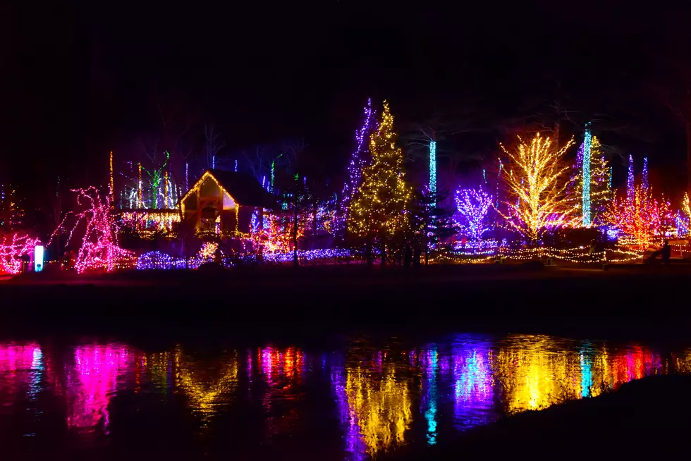 A Maine TikTok Star Visited ‘Gardens Aglow’ & You Should Too!