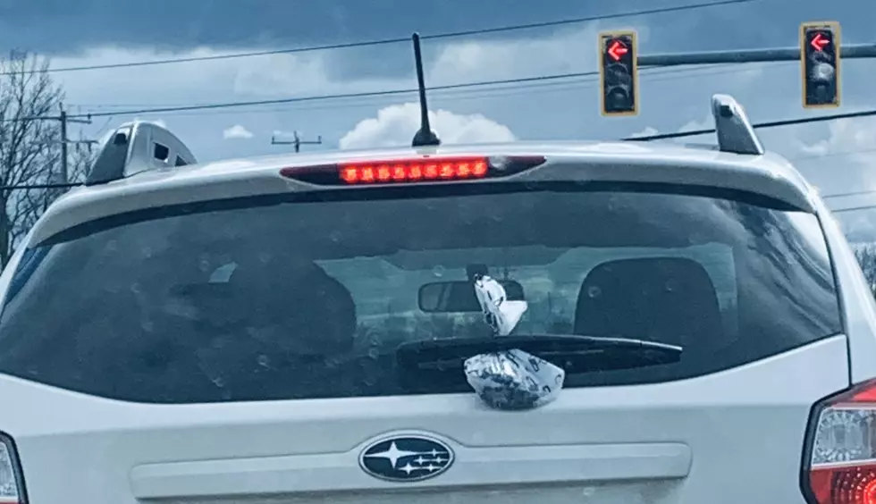 So Gross… Why Would Anyone Hang Dog Poop From Their Back Wiper?