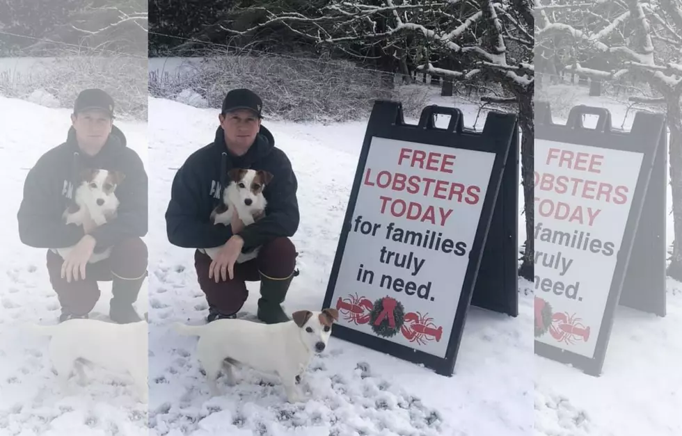 Lobsters to Be Given Away to Mainers in Need Christmas Eve