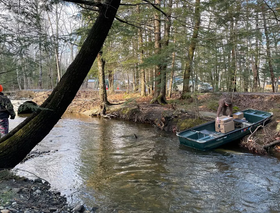 UPS Driver Delivering in Flood Waters is the Best of Maine